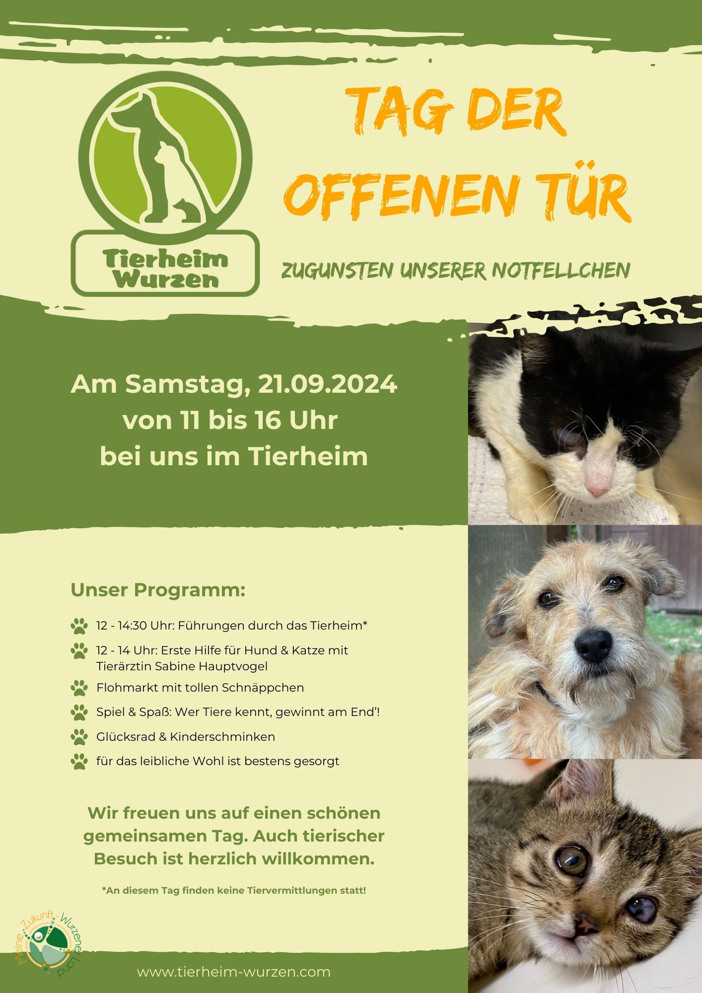 Tag der offenen Tür zugunsten unserer Notfellchen am 21. September 2024 von 11 bis 16 Uhr.